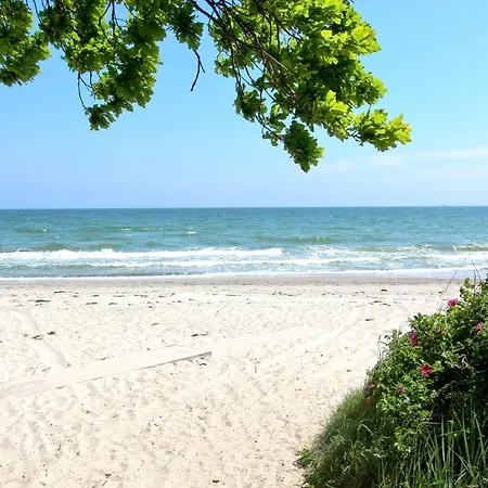 Strandnahe Mit Balkon, Gratis Nutzung Vom Ahoi Erlebnisbad Und Sauna In Sellin - Rex Rugia 14-7 Lobbe