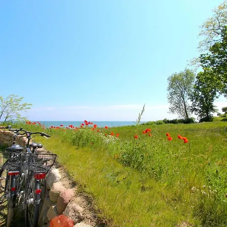 Appartement Strandnahe Mit Balkon, Gratis Nutzung Vom Ahoi Erlebnisbad Und Sauna In Sellin - Rex Rugia 14-7